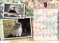 小動物専門店ヘヴン・2006オリジナルカレンダー 
